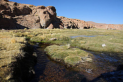 �������� �����, �������