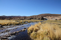 �������� �����, �������