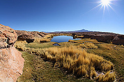 ����� ����������, �������