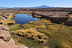 ����� ����������, �������