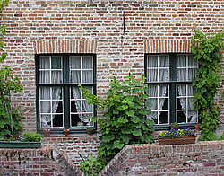 ������, �������