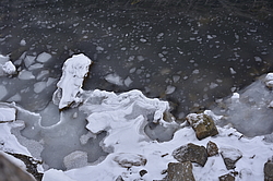 ����������, ���-�������� � ��������� ��������