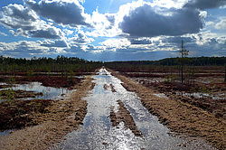 �������� ������, ������ � ������ �����