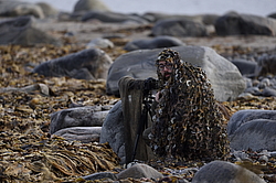 �������� � ����� ������� (���������� ������� �� �������� ��������� ���������� ������ ����)