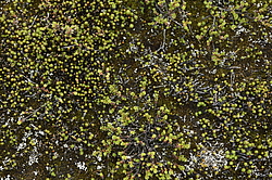 �� ����� <�������� ��������� �������>