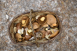 �� ����� <����� ��������� �������>