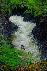 �. ���� � ������� �������