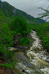 �. ���� � ������� �������