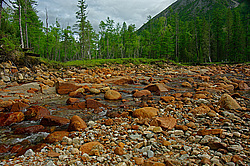 ���������������� ����� ����� ������� ����