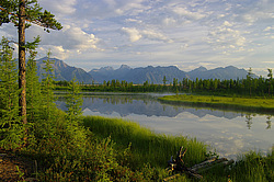 ����� �������