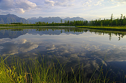 ����� �������