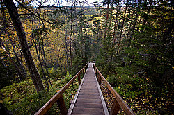 ���������� ���������, ���� �������� (�������)