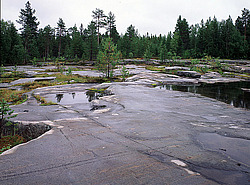 ���������� ����������