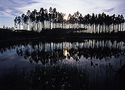 ����� ���������� ���������� �����, �������� ������, ��������