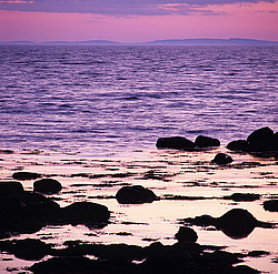 ���������� ���������, ����� ����, �����