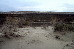 ��������� ���������� � ���������. ������� (����� 35��)