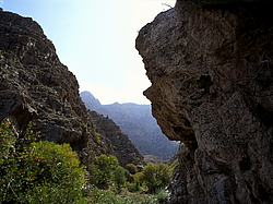 ��������� ���������� � ���������. �������� (����� 35��)