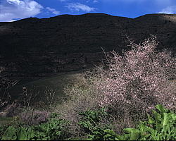 ��������� ���������� � ���������. �������� (����� 35��)