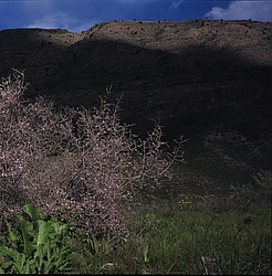 ��������� ���������� � ���������. �������� (����� 35��)