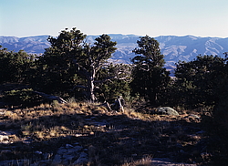 ��������� ���������� � ���������. �������� (����� 35��)