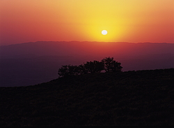 ��������� ���������� � ���������. �������� (����� 35��)