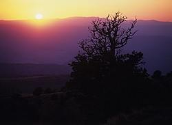 ��������� ���������� � ���������. �������� (����� 35��)