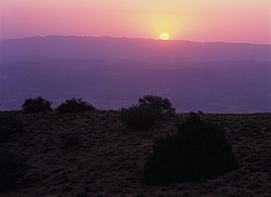 ��������� ���������� � ���������. �������� (����� 35��)