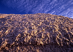 ������� � ��������. ����� (����� 35��)