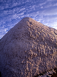 ������� � ��������. ����� (����� 35��)