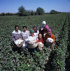 ������� � ��������. �������������� � ����� (����� 35��)