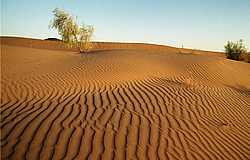 ������� � ��������. ������� (����� 35��)