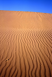 ������� � ��������. ������� (����� 35��)