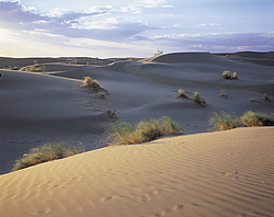 ������� � ��������. ������� (����� 35��)