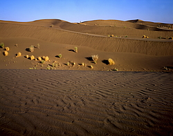 ������� � ��������. ������� (����� 35��)