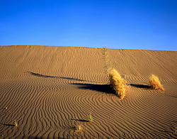 ������� � ��������. ������� (����� 35��)