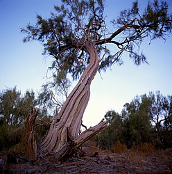 ������� � ��������. ������� (����� 35��)