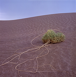 ������� � ��������. ������� (����� 35��)