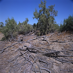 ������� � ��������. ������� (����� 35��)