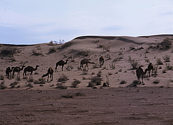 ������� � ��������. ������� (����� 35��)