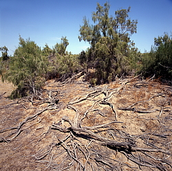 ������� � ��������. ������� (����� 35��)