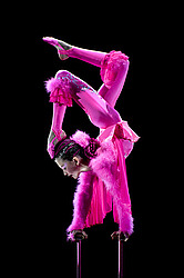 �������� ������, ����������� <������>, ������������� ���������-������� ��������� ��������� (3 � 6 ��������, 2009)