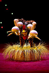 ���������� ��������� (��������), ������������� ���������-������� ��������� ��������� (3 � 6 ��������, 2009)