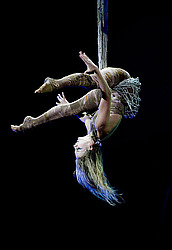 ������� ����, �������, ������������� ���������-������� ��������� ��������� (3 � 6 ��������, 2009)