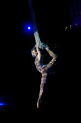 ������� ����, �������, ������������� ���������-������� ��������� ��������� (3 � 6 ��������, 2009)