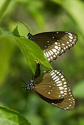 ��������� <�������> ����� ���������