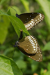 ��������� <�������> ����� ���������