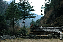 ����� ��������� ���������, �����