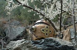 ������������ �������� �������, �����