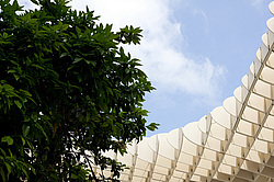 �������, �������