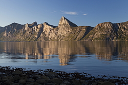 ������ �����, ��������, ��� �� �������